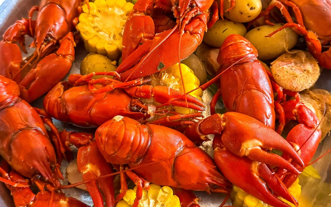 Celebrate 4th of July in London at Plaquemine Lock in Islington