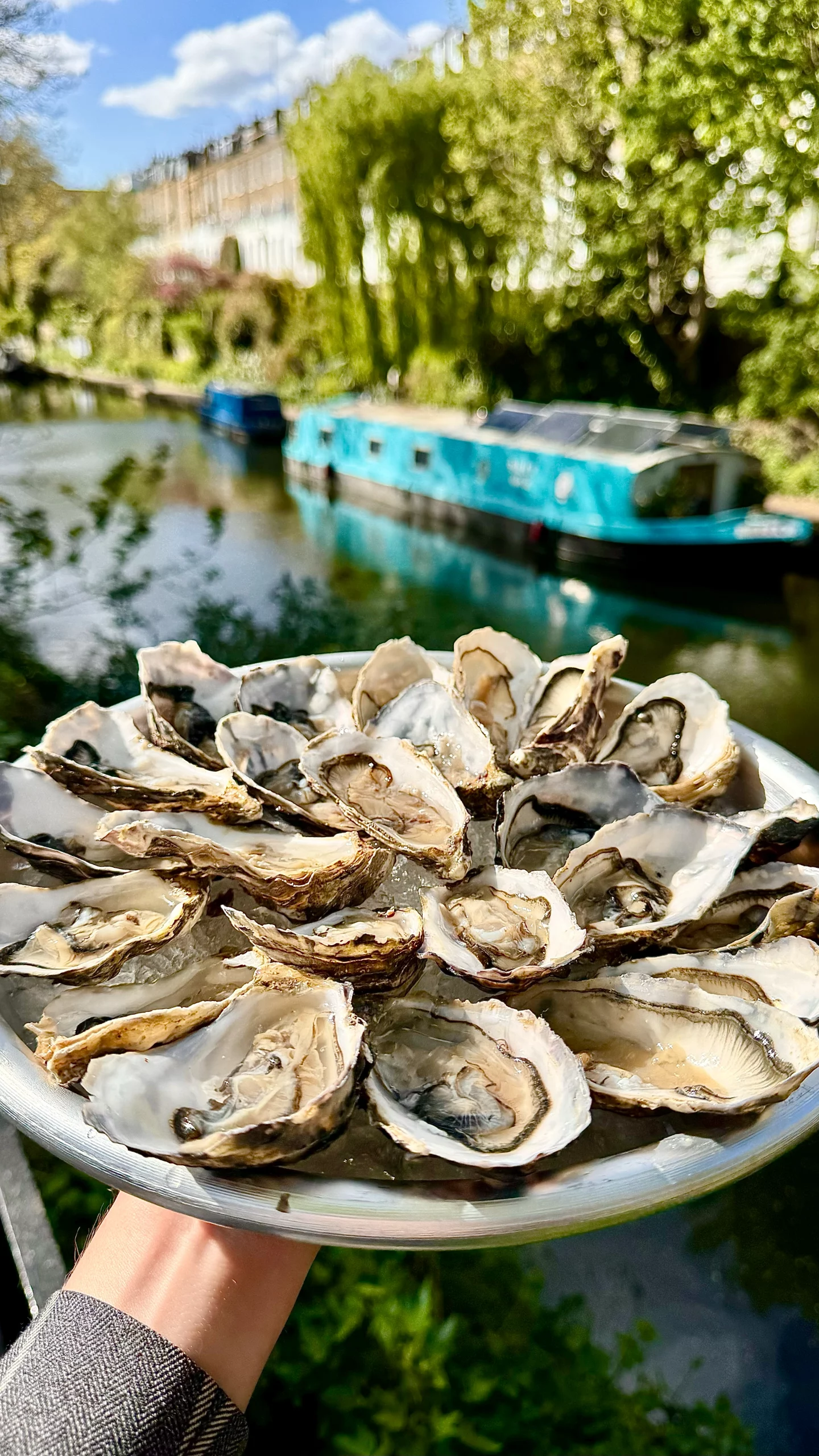 £1 oysters on ice at a canalside pub in Islington during happy hour