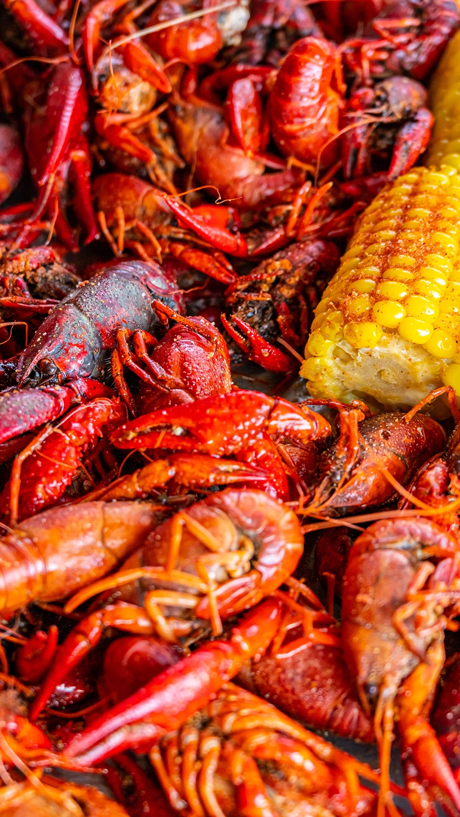 SEAFOOD-BOIL-INDEPENDENCE-DAY-ANGEL-PLAQUEMINE-LOCK Private dining seafood feast for groups in an Islington restaurant